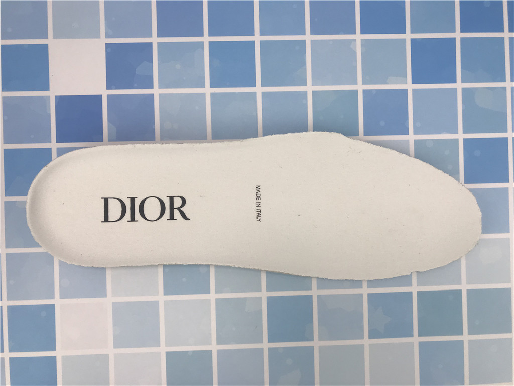 Dior B23 High Dior Oblique